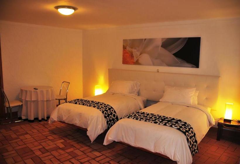 Hotel Casa Sur | Ica | Ica | Perú 10