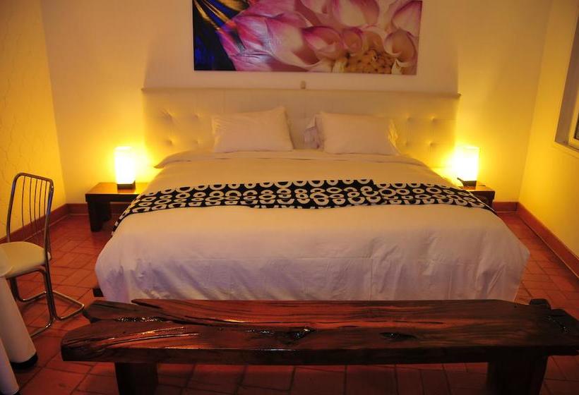 Hotel Casa Sur | Ica | Ica | Perú 11