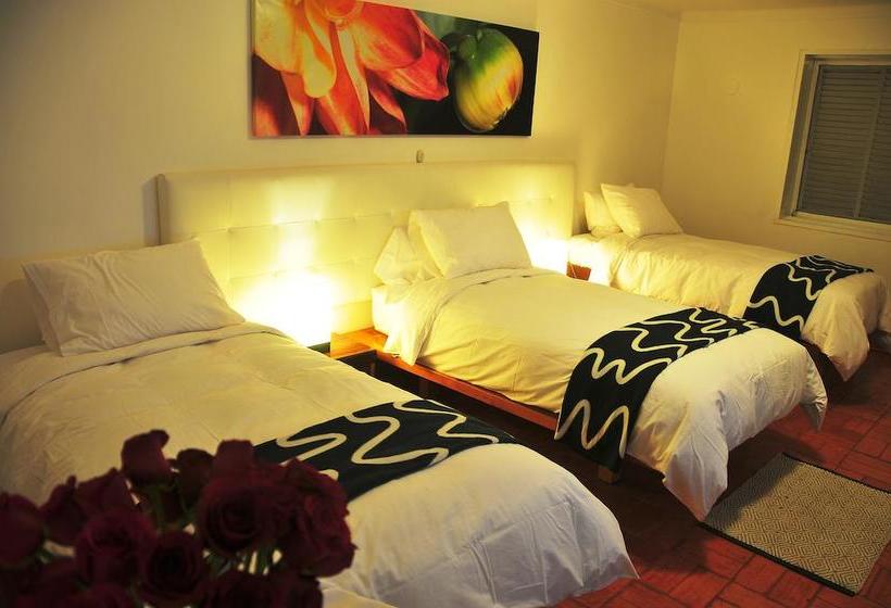 Hotel Casa Sur | Ica | Ica | Perú 14