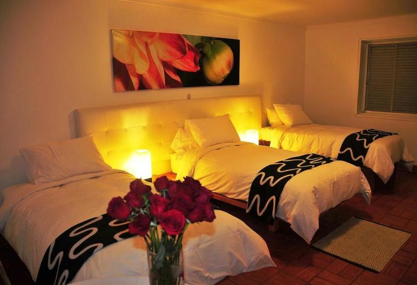 Hotel Casa Sur | Ica | Ica | Perú 15