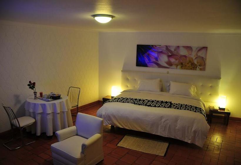 Hotel Casa Sur | Ica | Ica | Perú 18