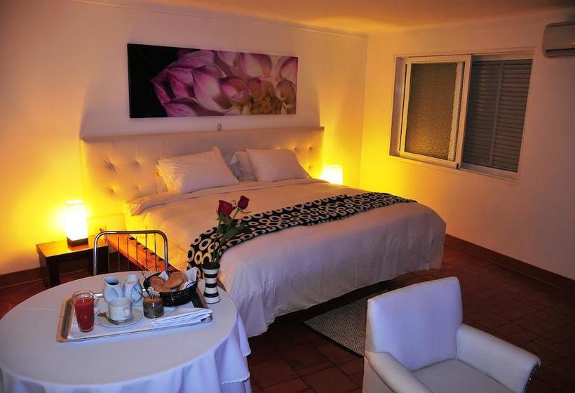 Hotel Casa Sur | Ica | Ica | Perú 5