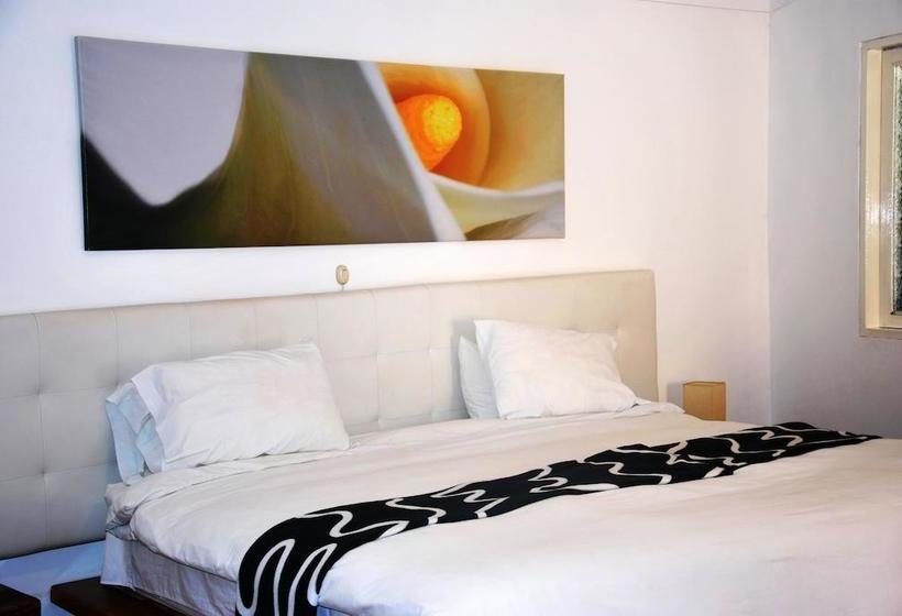 Hotel Casa Sur | Ica | Ica | Perú 8