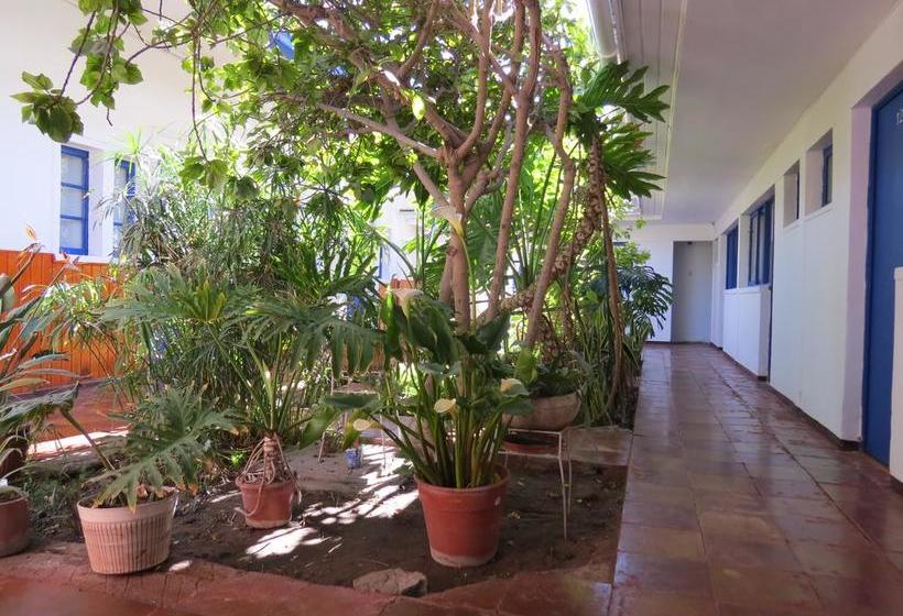 Hotel Palace | Copiapó | Atacama | Chile 18