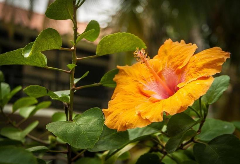 Resort Playa Las Marias | Palomino | La Guajira | Colombia 3