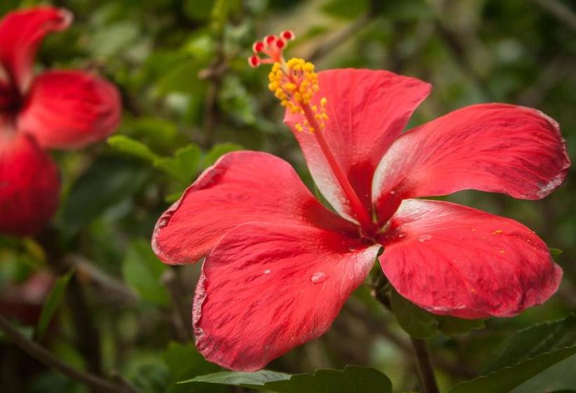Resort Playa Las Marias | Palomino | La Guajira | Colombia 5