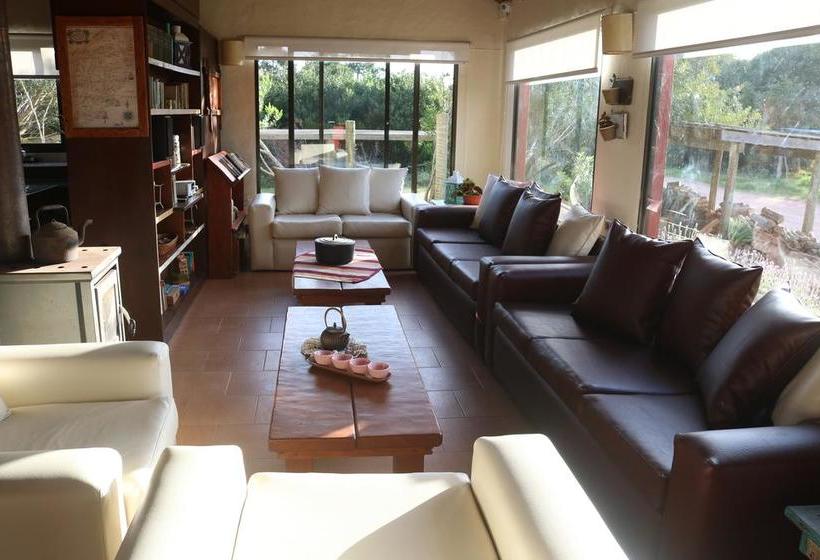 Albergue Posada De La Viuda | Punta del Diablo | Rocha | Uruguay 10