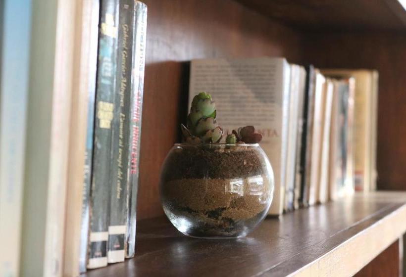 Albergue Posada De La Viuda | Punta del Diablo | Rocha | Uruguay 11