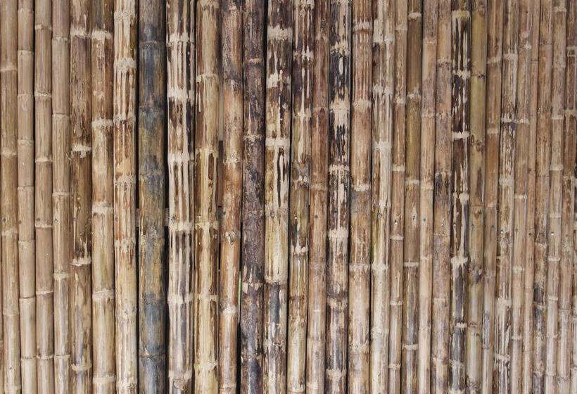 Sergeant Pepper S Hostel | Jardín | Antioquia | Colombia 1