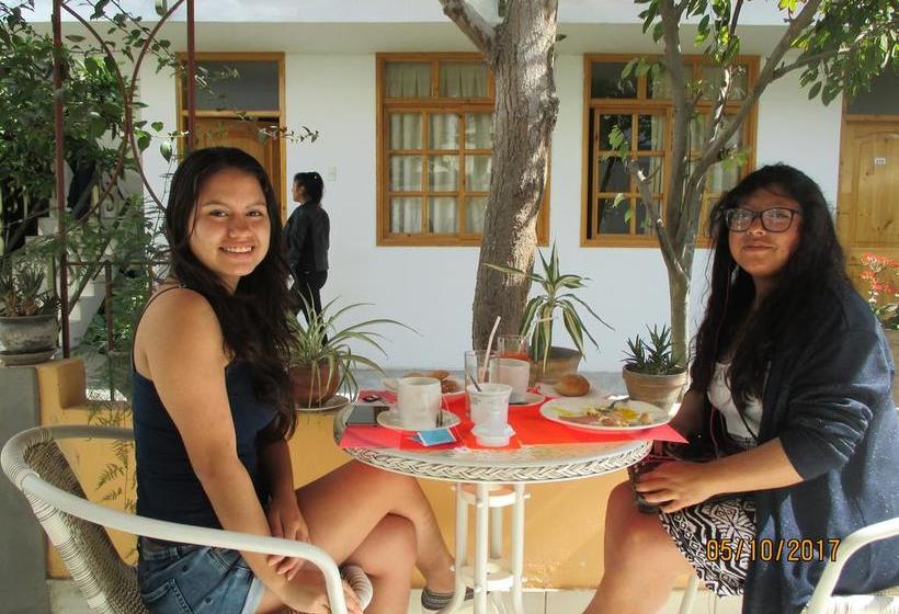 Hotel Dunas Lodge Ica | Ica | Ica | Perú 13