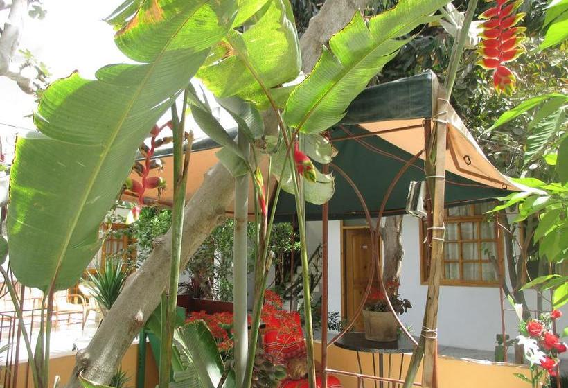 Hotel Dunas Lodge Ica | Ica | Ica | Perú 18