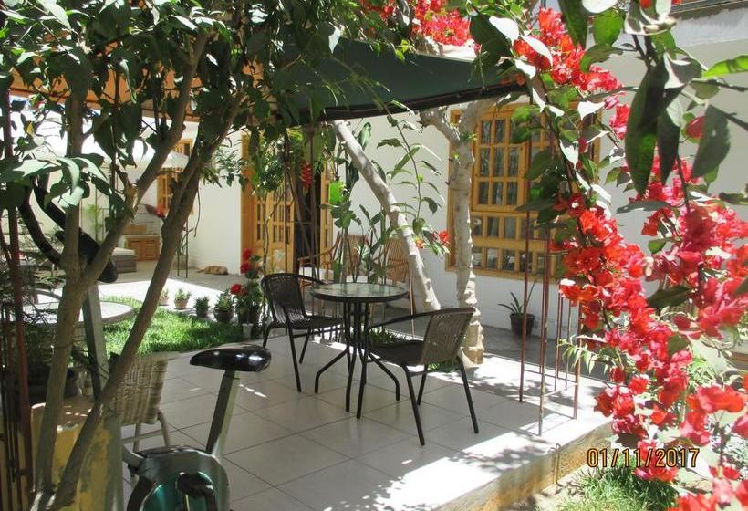 Hotel Dunas Lodge Ica | Ica | Ica | Perú 4