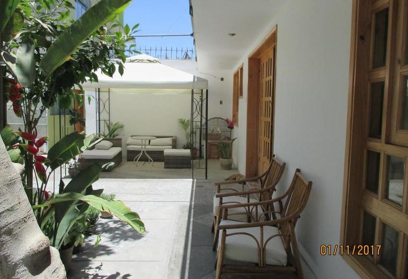 Hotel Dunas Lodge Ica | Ica | Ica | Perú 8