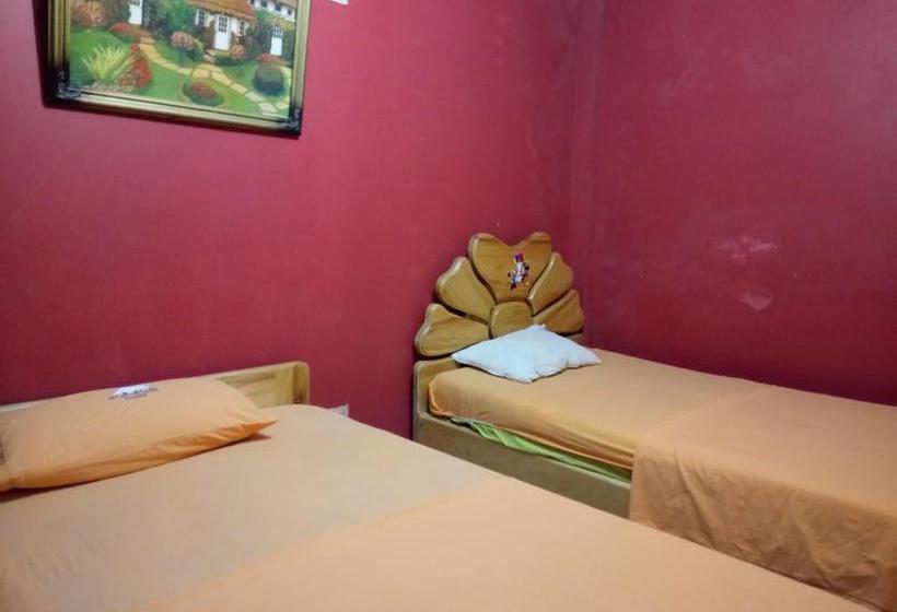 Hotel Rey De Los Andes | Santo Domingo de los Colorados | Santo Domingo de los Tsáchilas | Ecuador 11