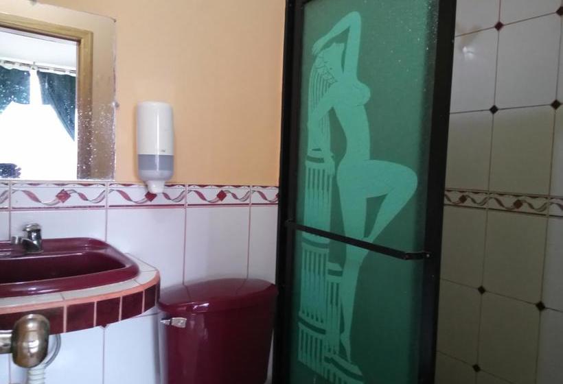 Hotel Rey De Los Andes | Santo Domingo de los Colorados | Santo Domingo de los Tsáchilas | Ecuador 13