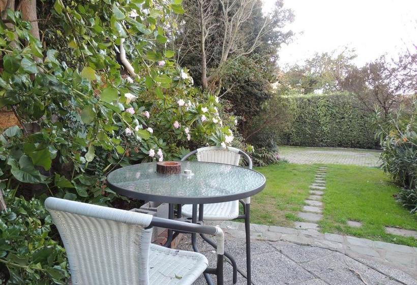 Trasandino Hostel | Viña del Mar | Valparaiso | Chile 6