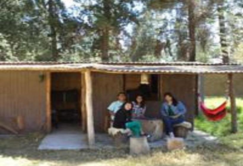 Tony S House Hostel | Huaraz | Huaraz | Perú 2