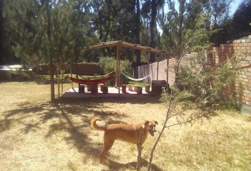 Tony S House Hostel | Huaraz | Huaraz | Perú 8