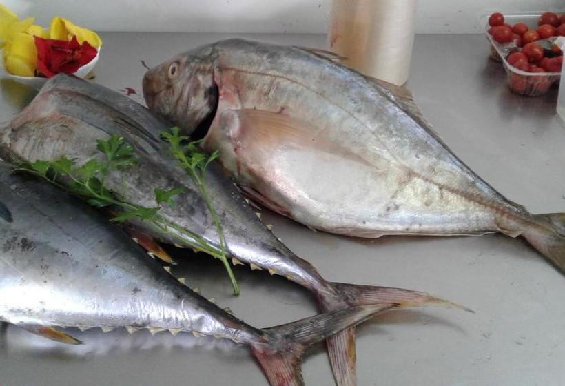 Hotel Suites Y Restaurant Oreko | Hanga Roa | Valparaiso | Chile 12