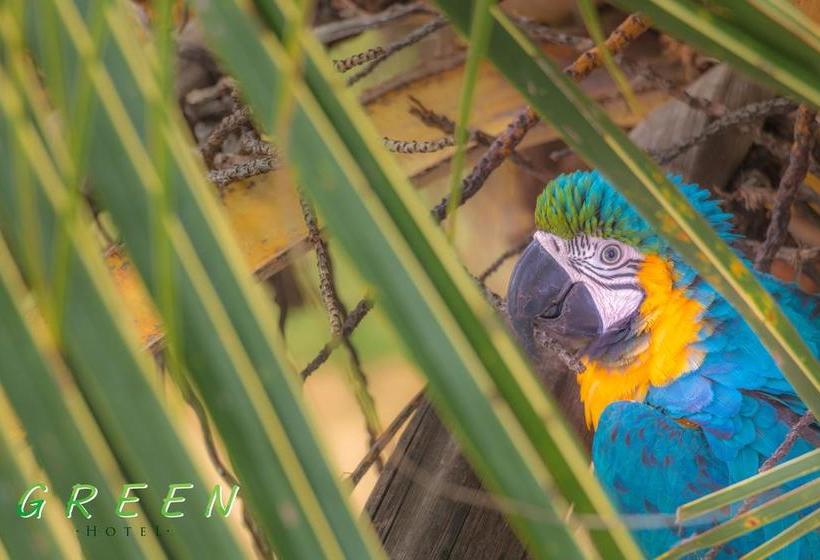 Hotel Green Coveñas | Coveñas | Sucre | Colombia 6