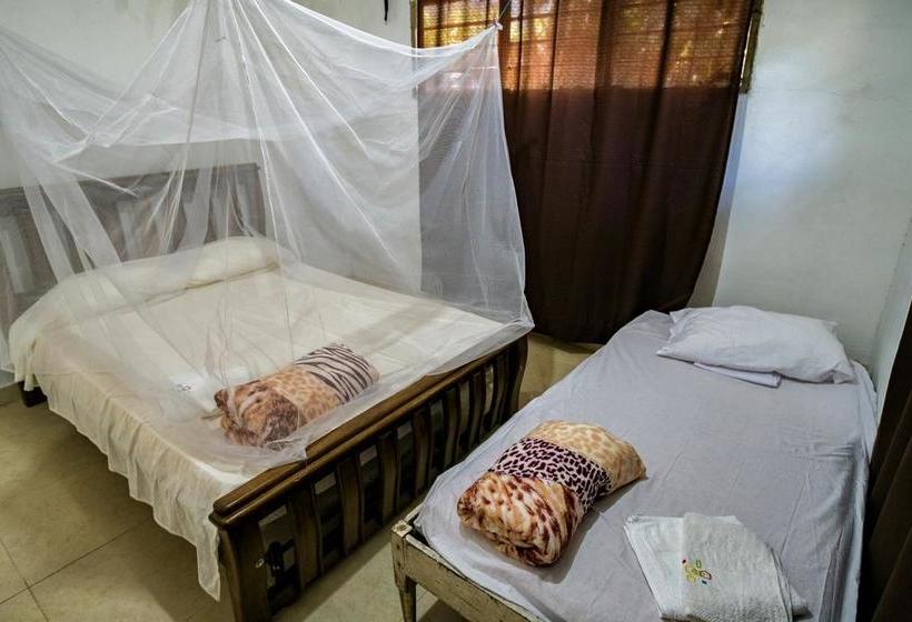 Bed and Breakfast Daniel S Guesthouse | Minca | Magdalena | Colombia 1