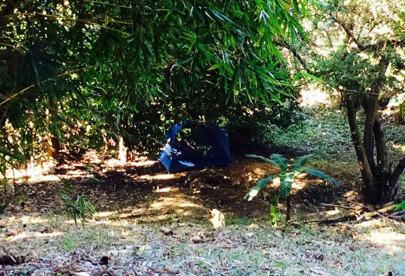 Bed and Breakfast Daniel S Guesthouse | Minca | Magdalena | Colombia 10