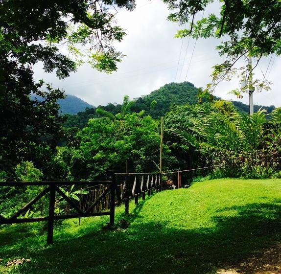 Bed and Breakfast Daniel S Guesthouse | Minca | Magdalena | Colombia 11