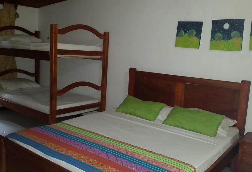 Hotel Sierra Sounds  House | Minca | Magdalena | Colombia 13