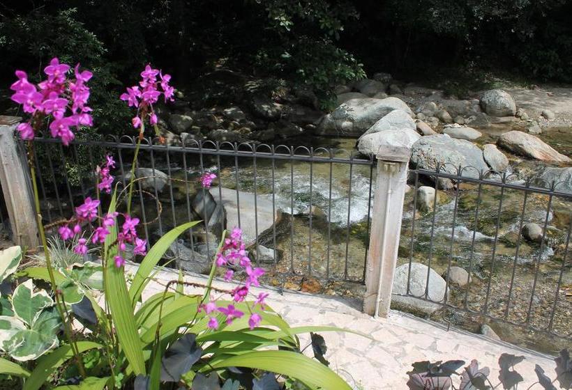 Hotel Sierra Sounds  House | Minca | Magdalena | Colombia 5