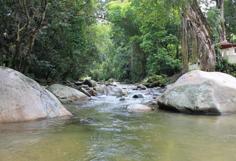 Hotel Sierra Sounds  House | Minca | Magdalena | Colombia 7