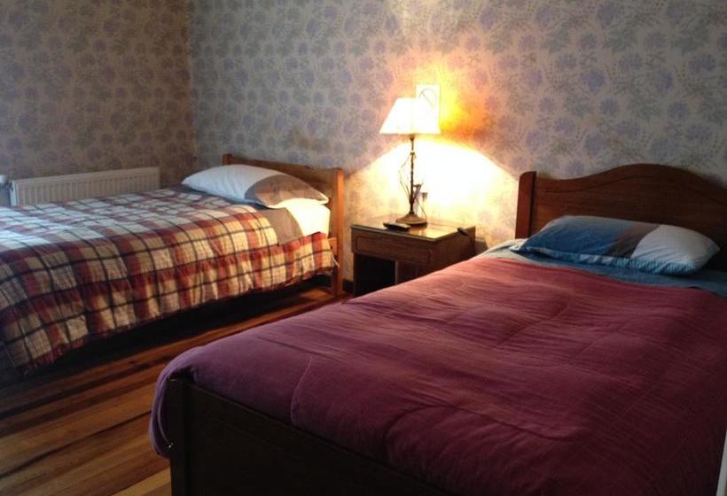 Bed and Breakfast Hospedaje Tribu Piren | Temuco | Araucanía | Chile 7