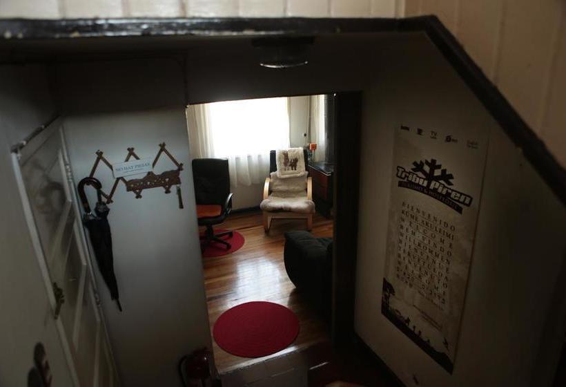 Bed and Breakfast Hospedaje Tribu Piren | Temuco | Araucanía | Chile 8