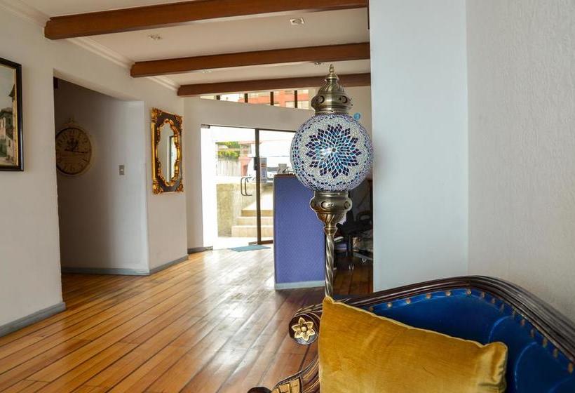 Hotel Camino Del Alto | Viña del Mar | Valparaiso | Chile 8