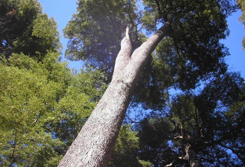 Hotel Hosteria Rio Grande | Futaleufú | Los Lagos | Chile 5