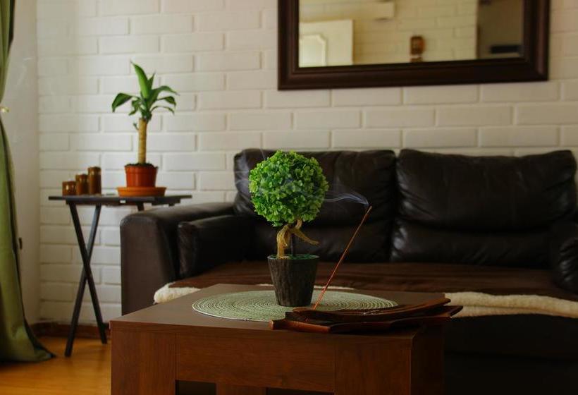 Hostel Viña House | Viña del Mar | Valparaiso | Chile 4