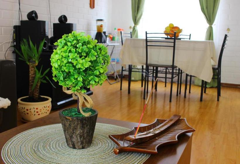 Hostel Viña House | Viña del Mar | Valparaiso | Chile 6