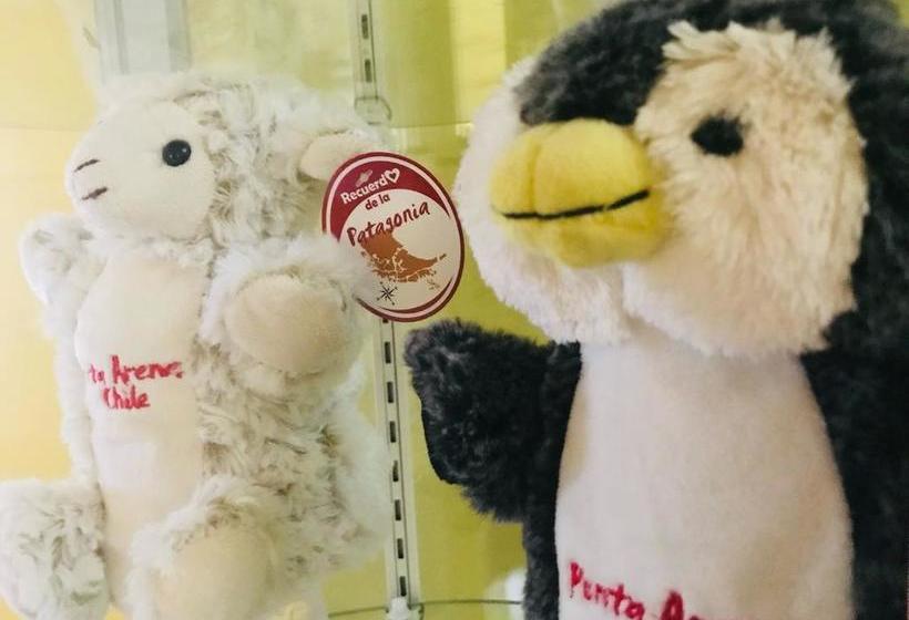 Hotel Yellow Submarine | Punta Arenas | Magallanes y Antartica | Chile 5