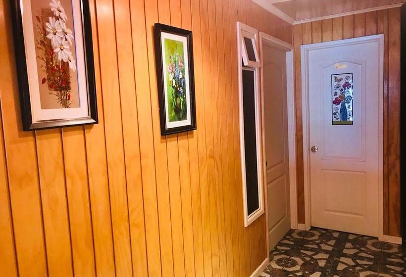 Hotel Yellow Submarine | Punta Arenas | Magallanes y Antartica | Chile 8