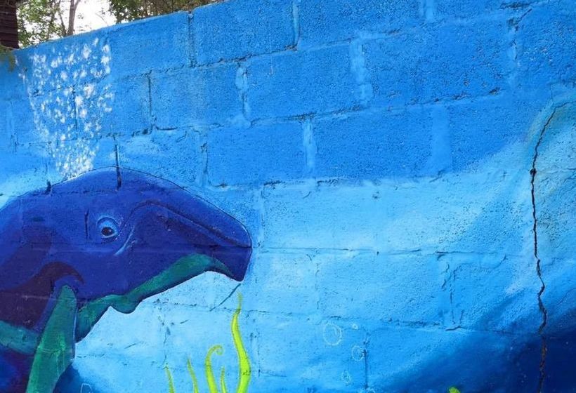 Sol Playa Cafe Hostel | Montañita | Santa Elena | Ecuador 19