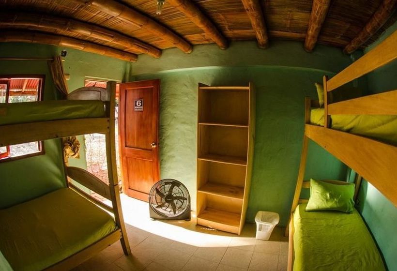 Sol Playa Cafe Hostel | Montañita | Santa Elena | Ecuador 5