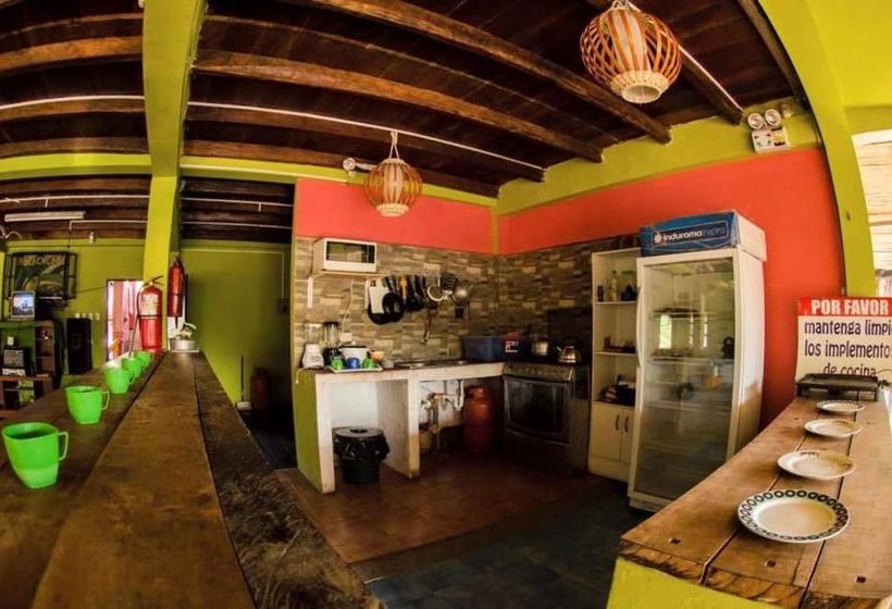 Sol Playa Cafe Hostel | Montañita | Santa Elena | Ecuador 9