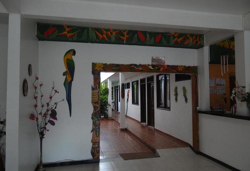 Hotel Fernando Real | Leticia | Amazonas | Colombia 13