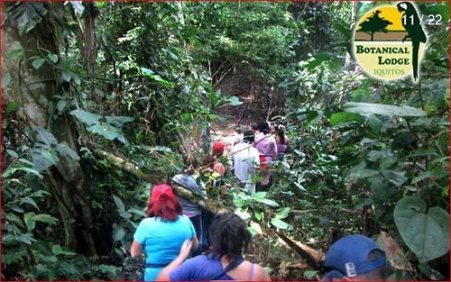 Hôtel Amazonas Botanical Lodge | Iquitos | Maynas | Hôtels au Pérou 10