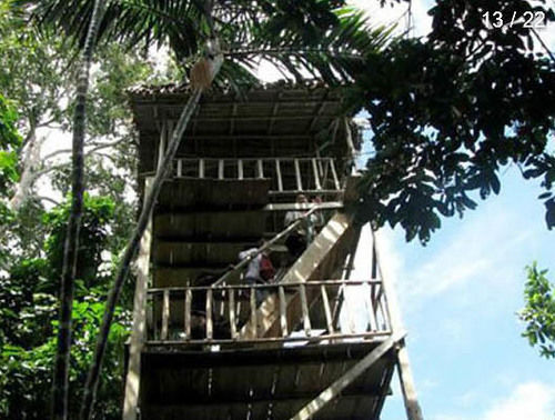 Hôtel Amazonas Botanical Lodge | Iquitos | Maynas | Hôtels au Pérou 12