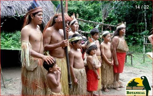 Hôtel Amazonas Botanical Lodge | Iquitos | Maynas | Hôtels au Pérou 8