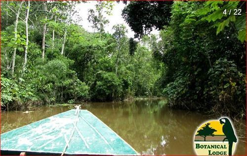 Hôtel Amazonas Botanical Lodge | Iquitos | Maynas | Hôtels au Pérou 9