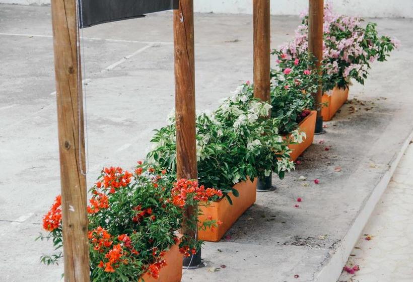 Hotel Las Ardillas | Santa fe de Antioquia | Antioquia | Colombia 2