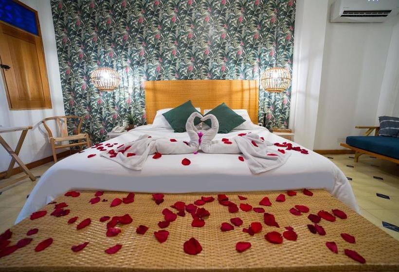 Hotel Boutique Casa Mia | Santa Marta | Magdalena | Colombia 1