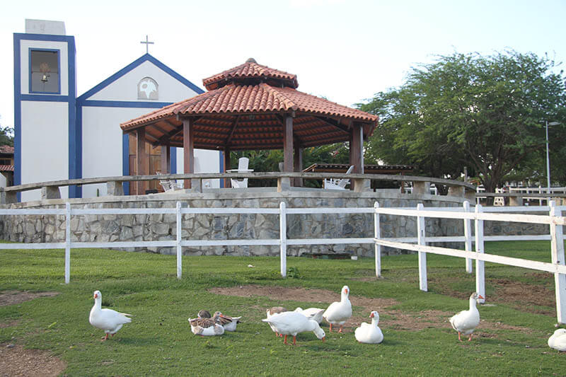 Hotel Fazenda Portal De Gravatá  | Gravata | Pernambuco | Brasil 2