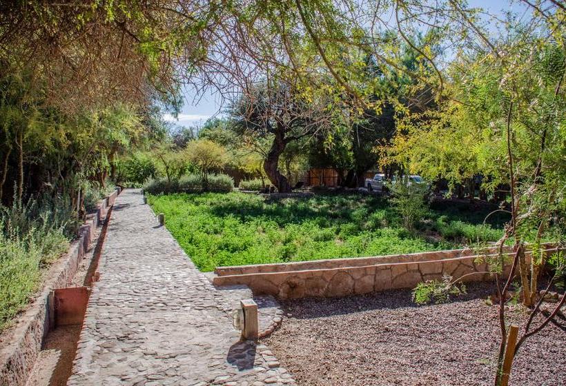 Hotel Casa Solcor Boutique Bed & Breakfast | San Pedro de Atacama | Antofagasta | Chile 10